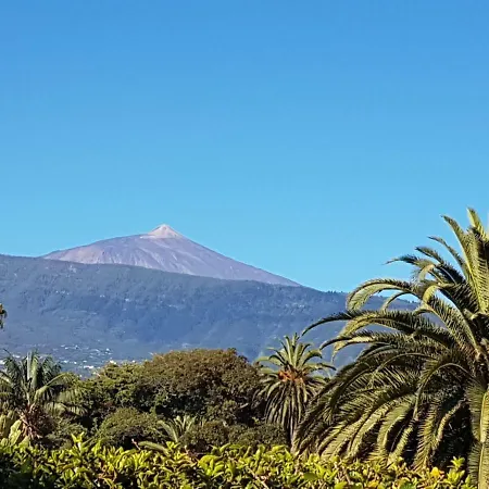 The Bird's Nest Appartement